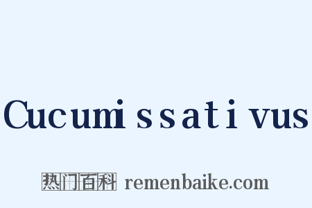 Cucumissativus是什么意思的图片